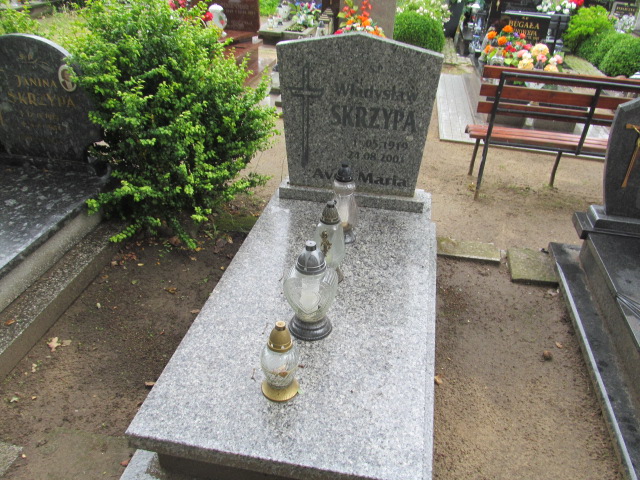 Grób Władysław Skrzypa